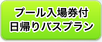 プール入場券付日帰りバスプランの詳細を見る