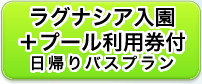 プール入場券付日帰りバスプランの詳細を見る