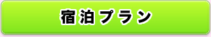 宿泊プラン
