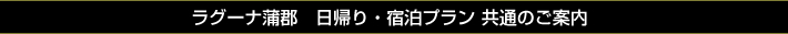 ラグーナ蒲郡　日帰り・宿泊プラン 共通のご案内