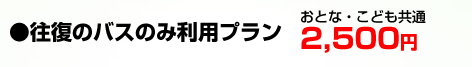 「往復のバスのみ利用プラン」おとな・こども共通：2,500円