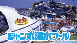 ジャンボ海水プール入場券付プラン