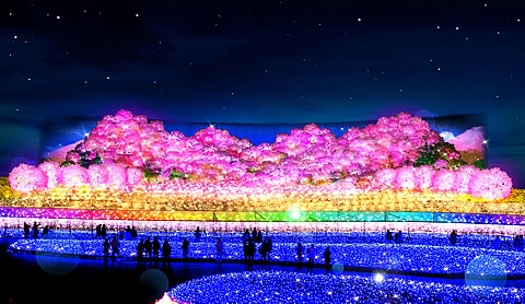 今年のテーマ~さくら~